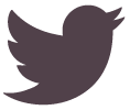 TURBULENT Twitter